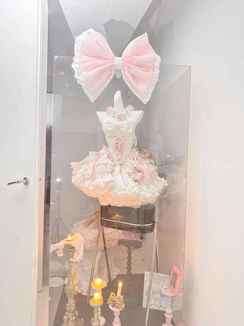 ♡ Dreamlike Grace ♡ - Pink Princess Dress Set