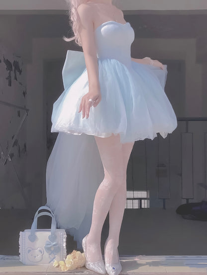 ♡ Swan ♡ - Balletcore Dress